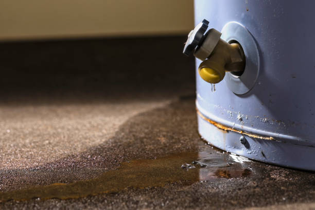 Best Sewage cleanup and water damage restoration  in Upper Saddle River, NJ