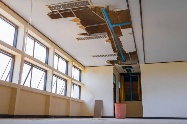 Best Ceiling water damage repair  in Upper Saddle River, NJ