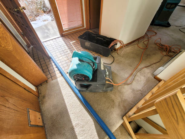 Best Fire Damage Restoration  in Upper Saddle River, NJ
