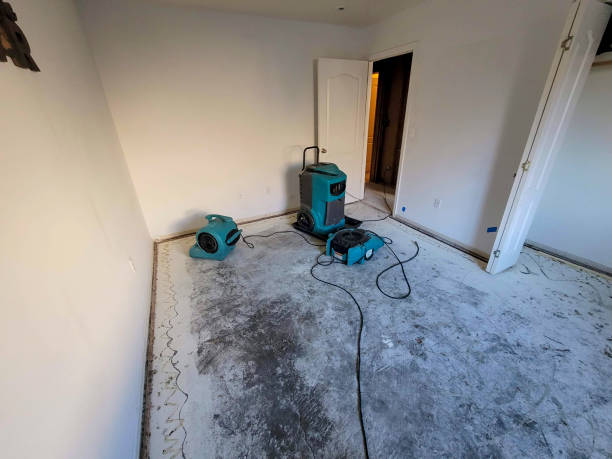 Best 24/7 water damage repair  in Upper Saddle River, NJ