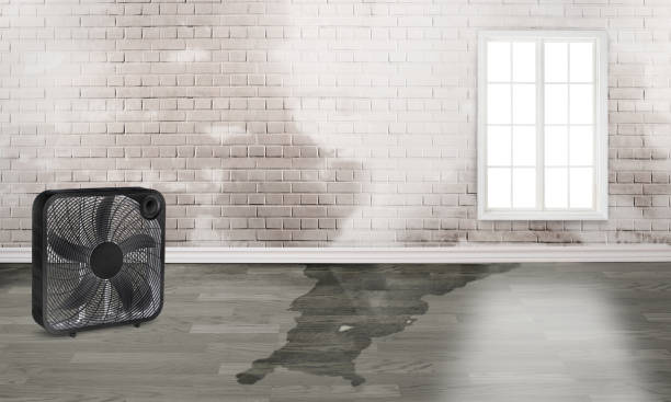 Trusted Upper Saddle River, NJ Water damage restoration Experts