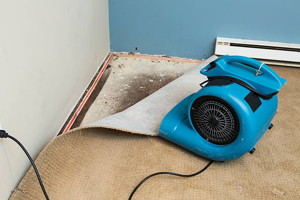  Upper Saddle River, NJ Water damage restoration Pros
